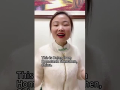 Avviso per le vacanze CNY: chiuso dal 3 al 19 febbraio. Buon anno cinese!